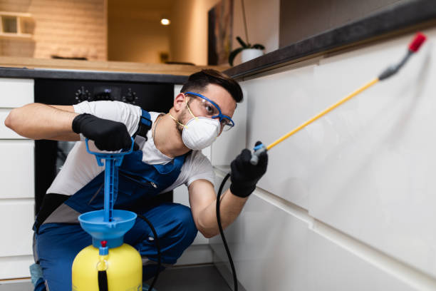 Pest Control Cost in Somers Point, NJ