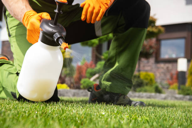 Best Wasp Removal Services  in Somers Point, NJ