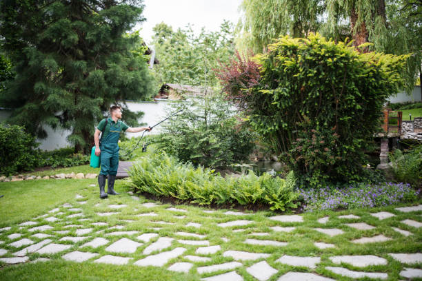 Best Affordable Pest Control Services  in Somers Point, NJ